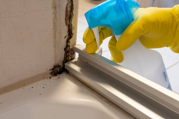 Best Residential Mold Removal  in Ol, LA
